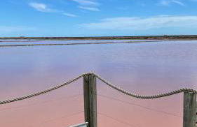 APPARTEMENT T2 GRUISSAN PLAGE DANS RÉSIDENCE CALME - Foto 18