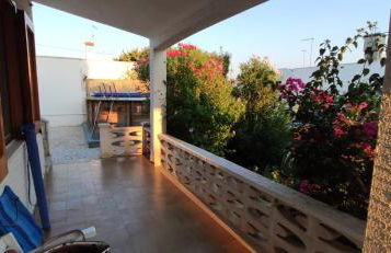 Speroni d'oro - Foto 10