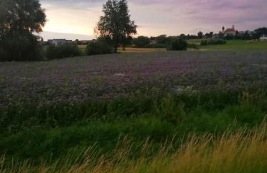 Haus Rosenbusch - Foto 26