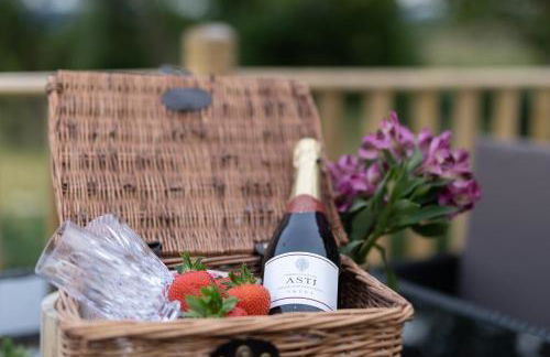 Blaenplwyf Shire Pods - Foto 39