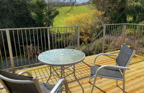 Cottage hideaway on the edge of Bodmin Moor - Foto 17