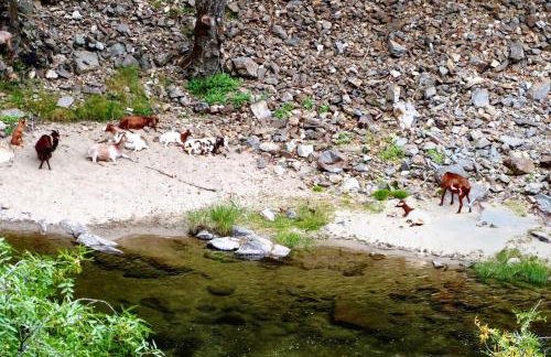 Charming Villa in Vila Seca with Private Pool - Foto 19