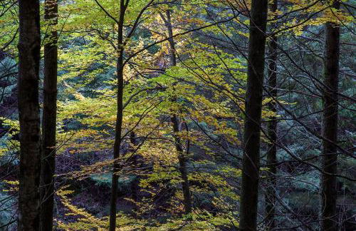 SerraVale - House & Nature - Foto 51