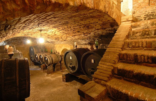 Tenuta S. Agnese - Photo 33