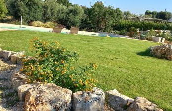 Il nido delle rondini - Foto 66