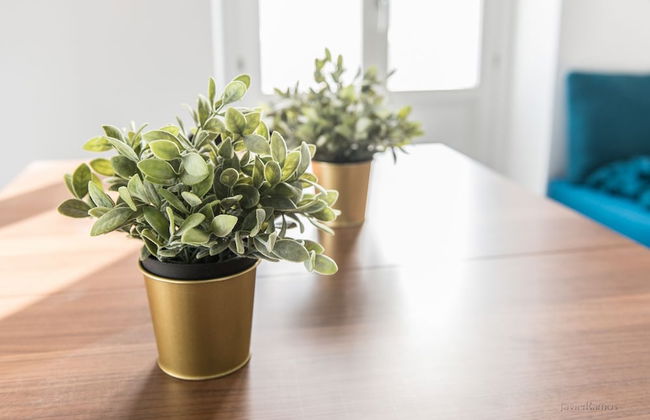 Casa Margot Cádiz - Foto 7