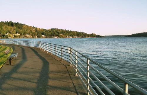 Grand Bellevue DT Villa 5 010 sqft near BV Square - Foto 69