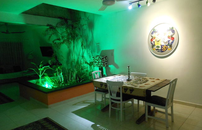 Whole House To Your Self Now Swimming Pool - Photo 12