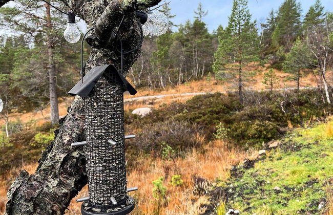 6 Person Holiday Home in Tjorhom - Foto 22