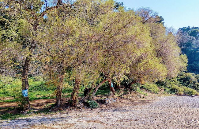 Spacious house with seaview - Foto 25