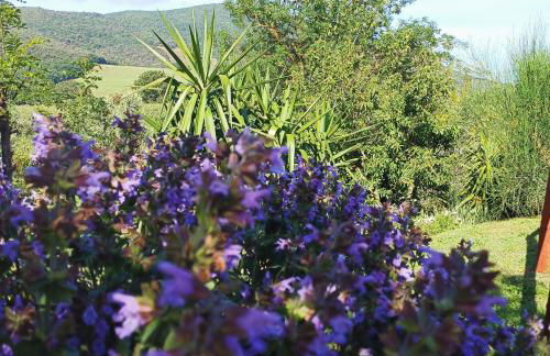 Agriturismo Colleverde Capalbio - Foto 7