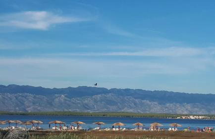 Iris Sabunike - Photo 25