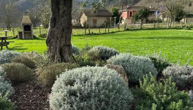 Casa Rural Ñasares - Foto 4, Garden, Garden view