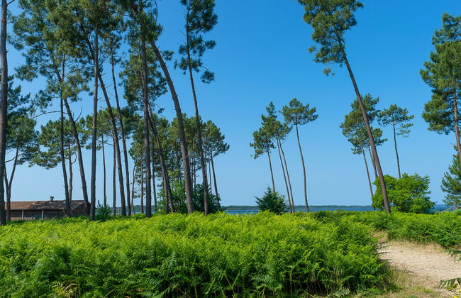 Les Cottages du Lac T3 - Photo 24