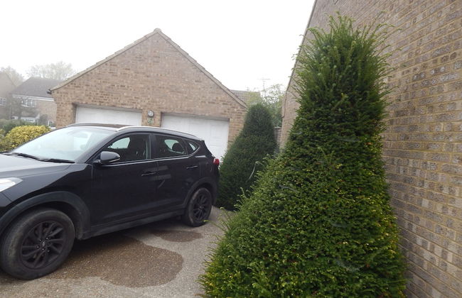 The Vineyard - Corporate and family stay - Foto 33