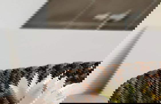 Aparthotel Cosy - Foto 50