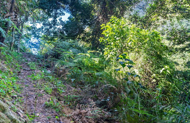 Casa de campo Los Yungas - Photo 38