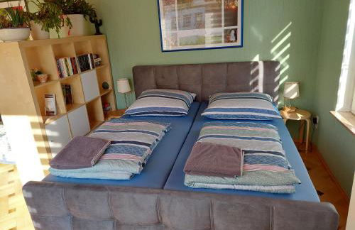 Kakteengarten - Foto 29