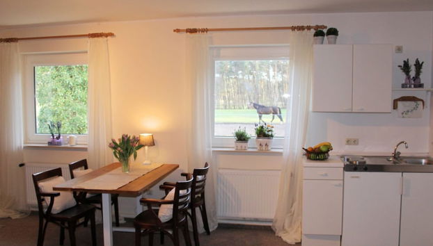 Modernes Appartement in Kirchdorf mit Swimmingpool - Foto 5, Cozinha privada