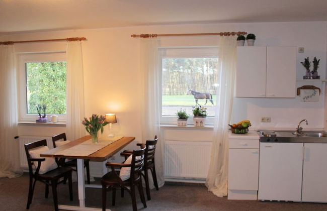 Modernes Appartement in Kirchdorf mit Swimmingpool - Foto 5