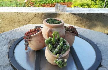 Apartment Sanja - Foto 34