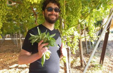 Vacation House a Mola di Bari - Foto 68