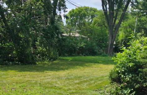 Naperville Gem - Foto 16