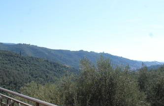 Il Cavedano Innamorato - Foto 8