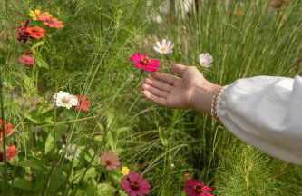 TEKOÁ - Cabana Pitanga - Barreiro, Araxá - Foto 34