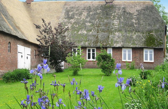 Charming Cottage Near Wadden Sea & Islands - Foto 14