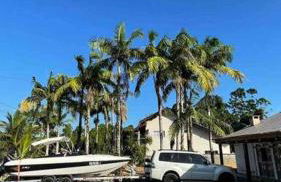 Chácara Rota das Praias - Ubatuba - São Francisco do Sul - Foto 39