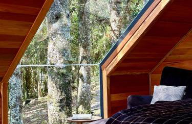 La negra - cabana entre araucárias - Foto 12