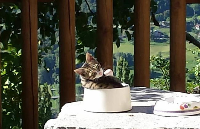 Lavish Holiday Home in Playa Blanca With Pool & Seabeach Nearby - Photo 31