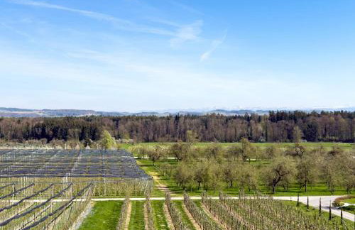 Bergchalet Mirabell - Hofgut - Foto 73