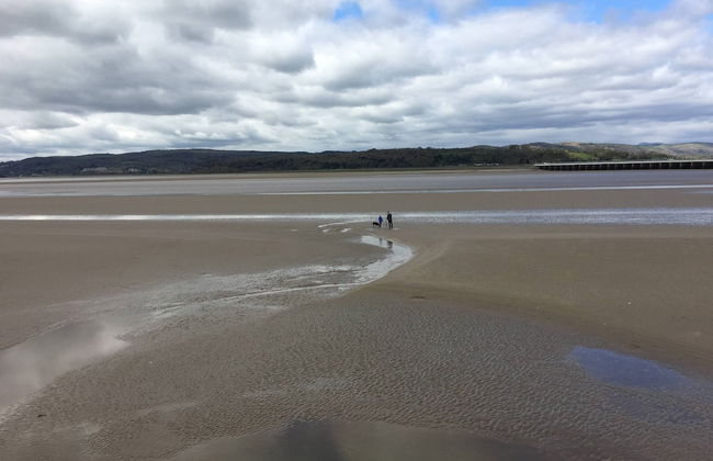 1 Lathom Avenue - Foto 58