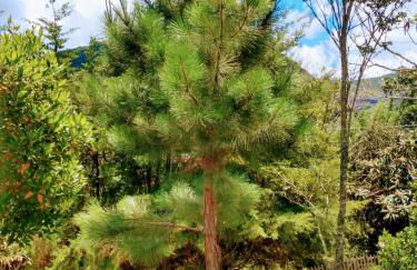 Mountain house - Photo 53