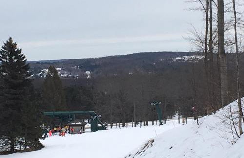 Boyne Mountain Creekside Condo - Foto 7