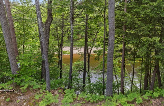 River View House - Photo 14