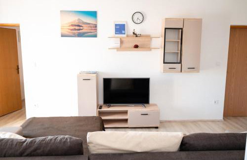 Dalmatian - Photo 37