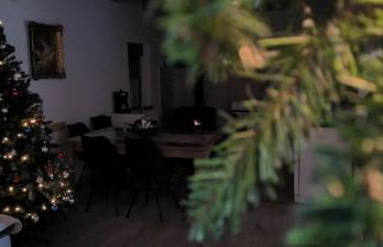 Šljivik stari - Photo 22