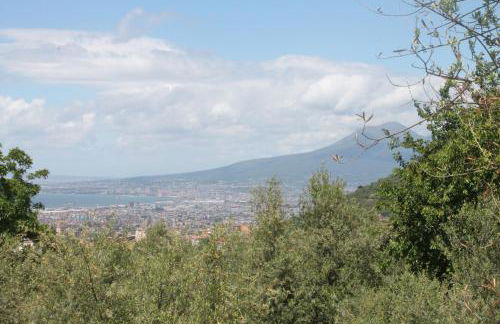 Casa Scola Agriturismo - Foto 52