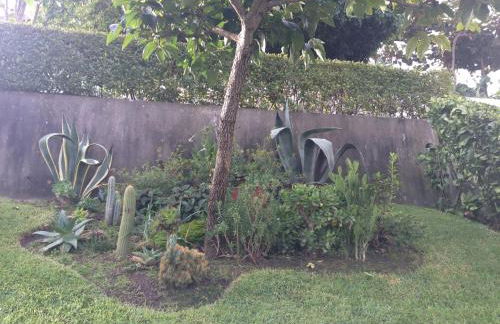 Casa Dos Cabecinhos - Foto 52