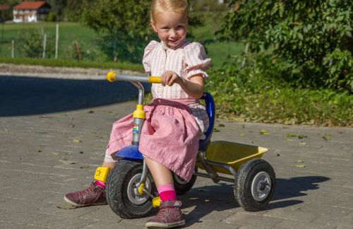 Hörlhof - Chiemgau Karte - Foto 11