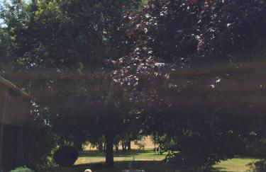 L’abri du monde - Foto 7