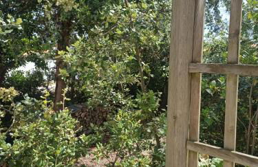 La Garenne - Foto 14