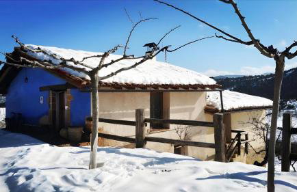 La Pallisa - Foto 12