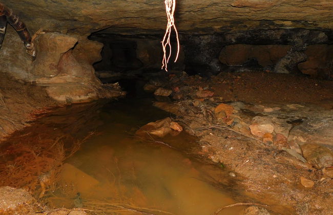 finca recreacional la fortaleza - Foto 14