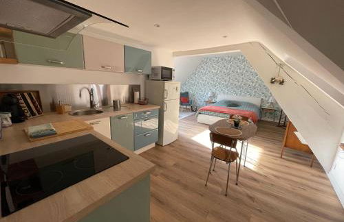 Joli Studio en centre-ville - Foto 11