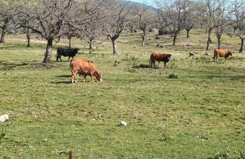 Casa Luna, Losar de la Vera - Foto 30
