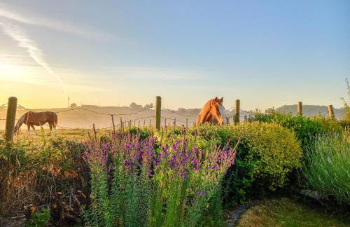 Beam Cottage - Foto 25